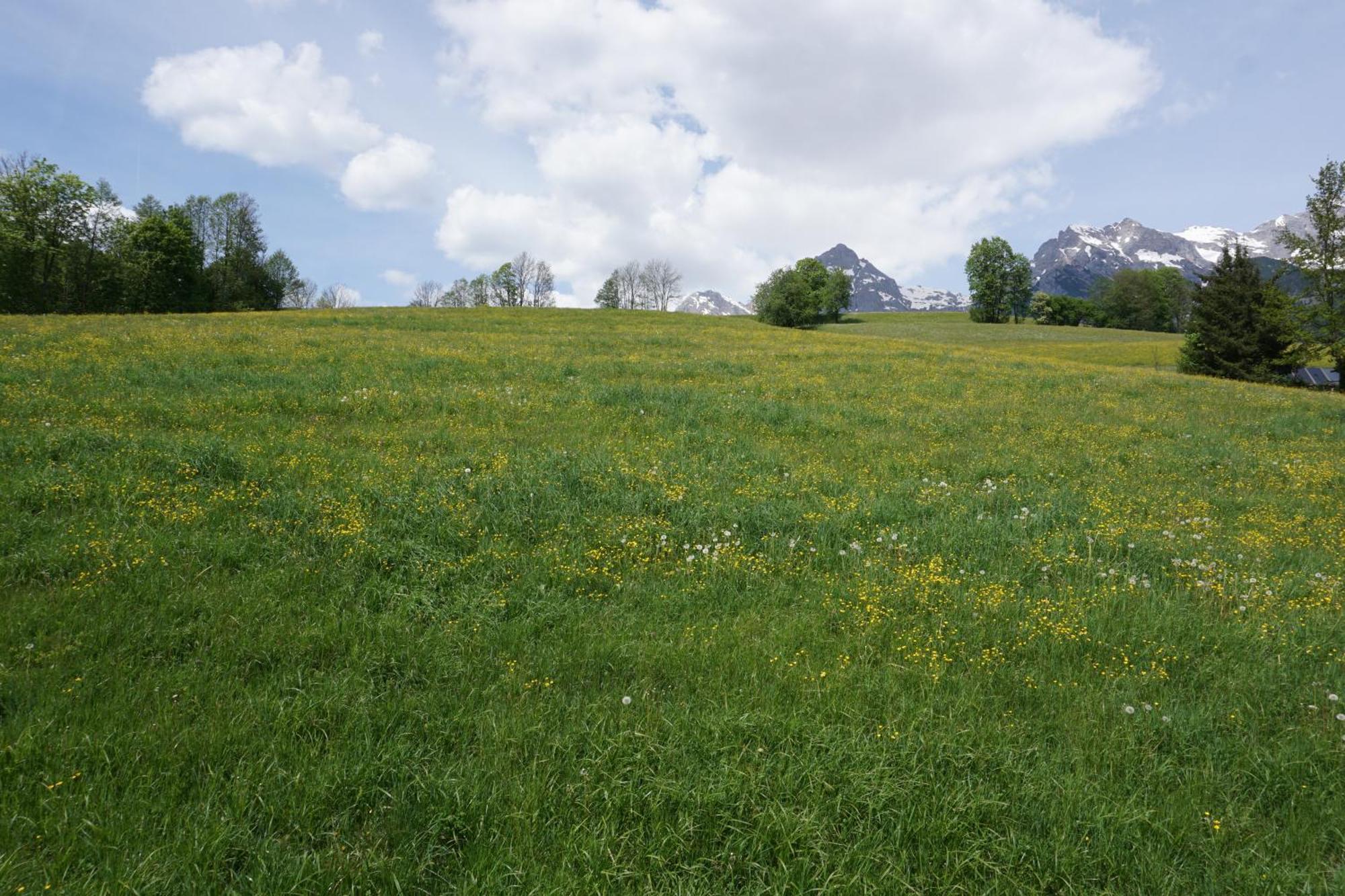 Pension & Appartements Anny Maria Alm am Steinernen Meer Esterno foto