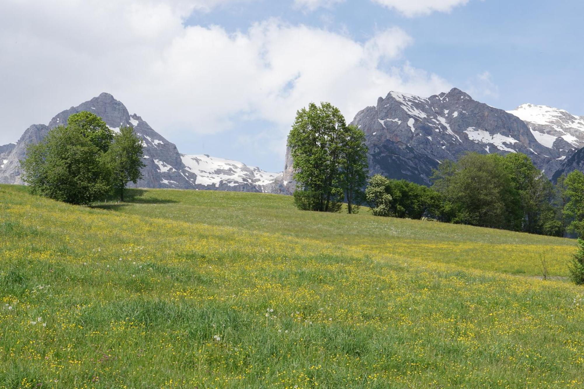 Pension & Appartements Anny Maria Alm am Steinernen Meer Esterno foto